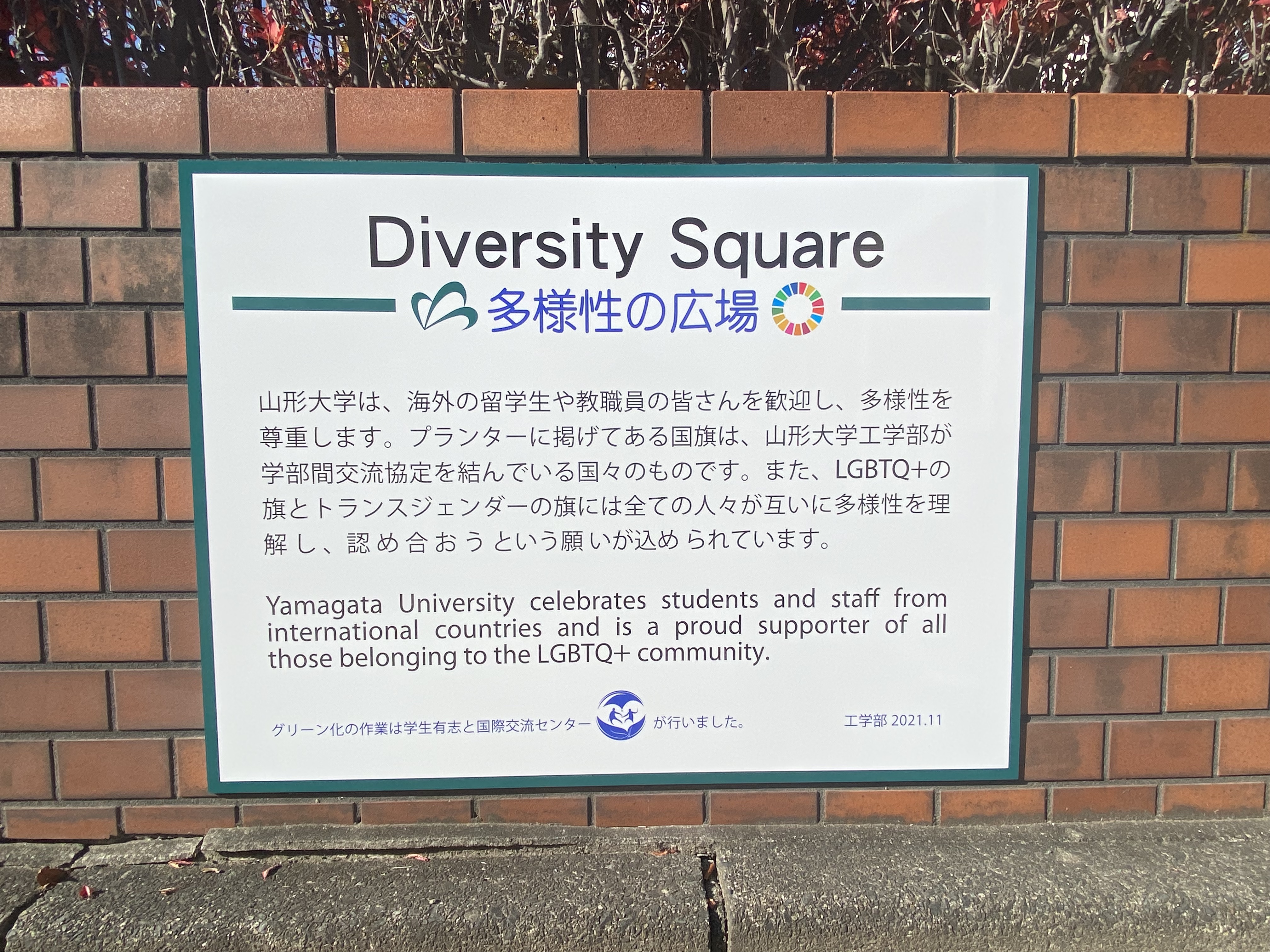 Diversity Square